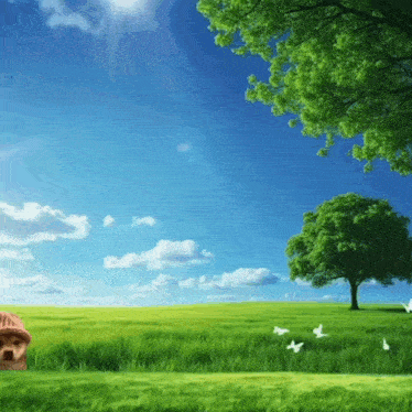 Walk Walking GIF