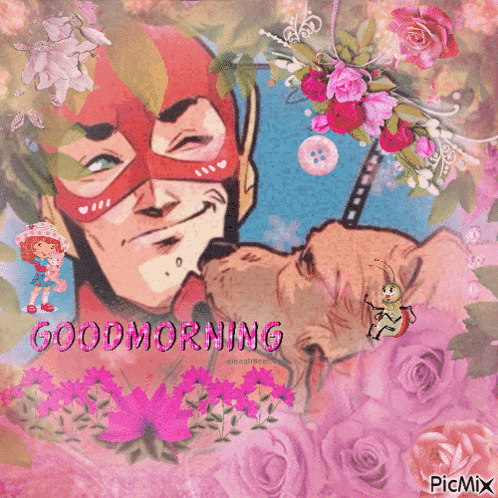 Wally West The Flash GIF