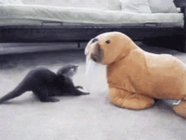 Walrus Hehe GIF