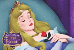 Walt Disney Sleeping Beauty GIF