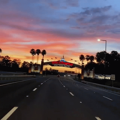 Walt Disney World Jesskiddinggg GIF