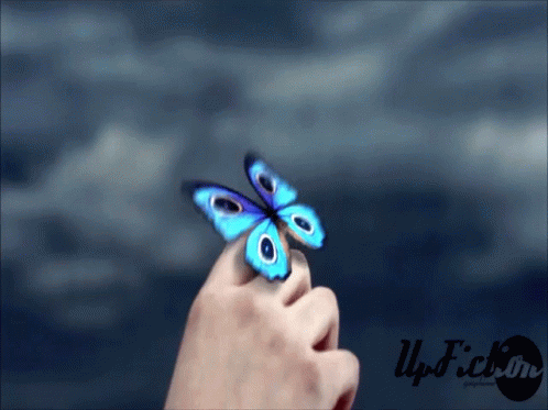 Wan Wangray GIF