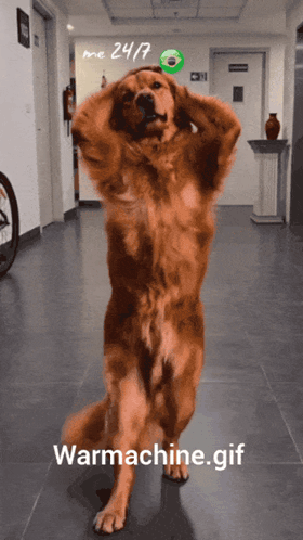 Warmachine Gif Brazil Football GIF