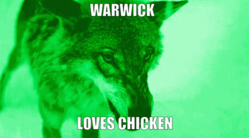 Warwick Loves Chicken Chicken GIF. This 498 x 277 animated GIF is part of our running wolf collection. Related themes include chicken, wolf. Created by…