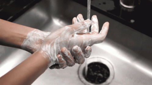 Wash Hands Wash Your Hands GIF. This 498 x 280 animated GIF is part of our lavado de manos collection. Created by AngelRafaeltv. View the original…