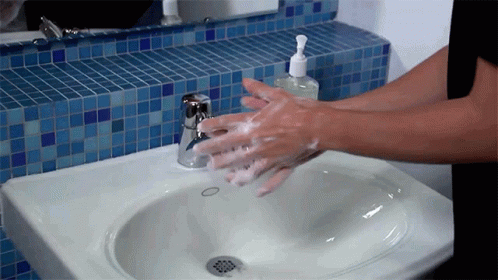 Washing Hands Wash Your Hands GIF. This 498 x 280 animated GIF is part of our lavado de manos collection. Created by masoncarr2244. View the original…