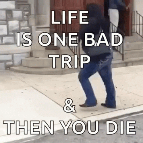 Wasted Drunk GIF