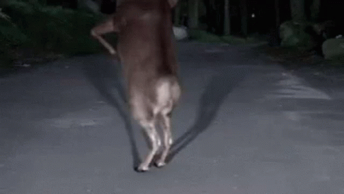Wasted Hungover GIF
