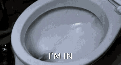 Wasting Money Toilet GIF. This 498 x 270 animated GIF is part of our throwing money away collection. Related themes include throwing money. Created by…