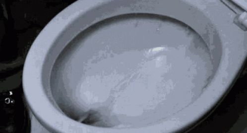 Wasting Money Toilet GIF. This 498 x 269 animated GIF is part of our throwing money away collection. Related themes include throwing money. Created by…