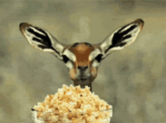 Watching Going GIF