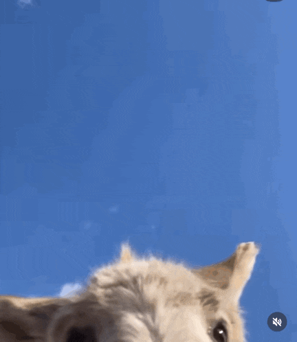 Watching I See You GIF