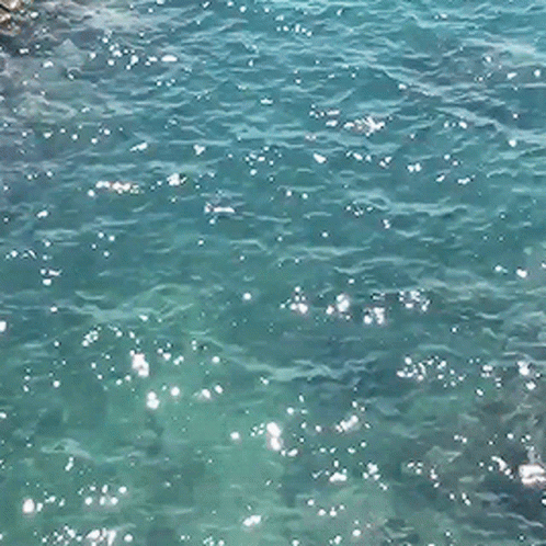 Water Sparkling GIF