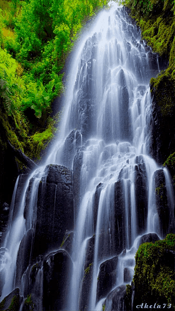 Waterfall Falls GIF