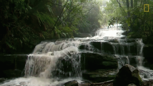 Waterfall Flowing Water GIF. This 498 x 280 animated GIF is part of our moving water collection. Related themes include nature, waterfall. Created by…