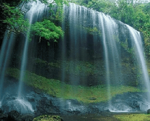Waterfall Forest GIF. This 498 x 402 animated GIF is part of our moving water collection. Related themes include beautiful, nature, water. Created by…