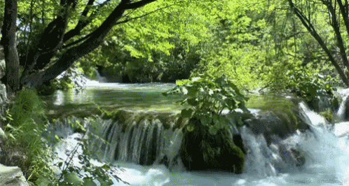Waterfall From Http://Headlikeanorange.Tumblr.Com/ GIF