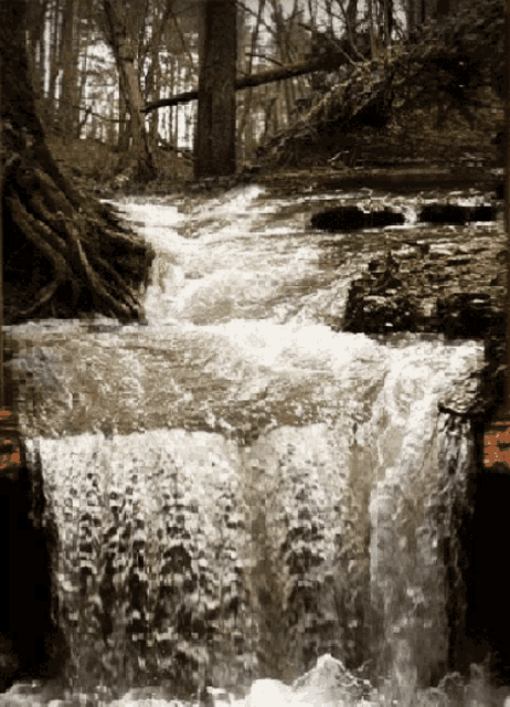 Waterfall Nature GIF