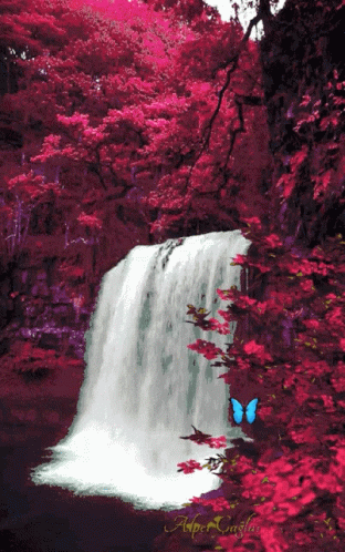 Waterfall GIF