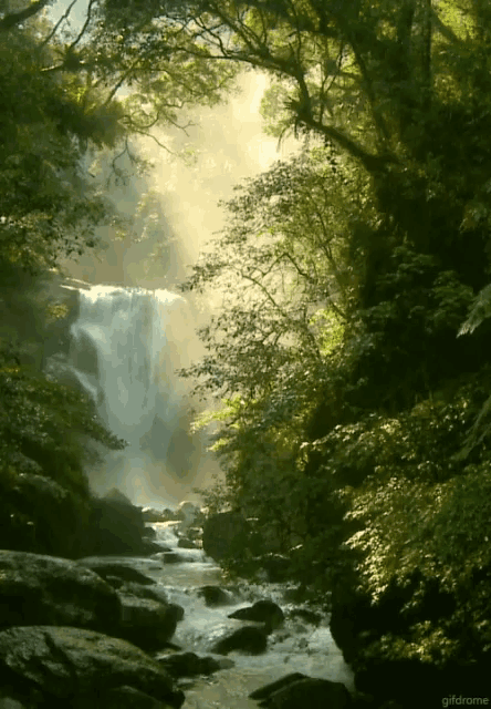Waterfalls Nature GIF