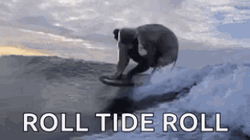 Wave Elephant GIF