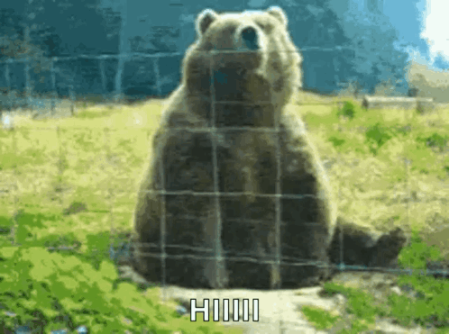 Wave To Me Bear GIF. This 498 x 371 animated GIF is part of our bear waving collection. Related themes include bear, hello, wave. Created by mammavlad. View…