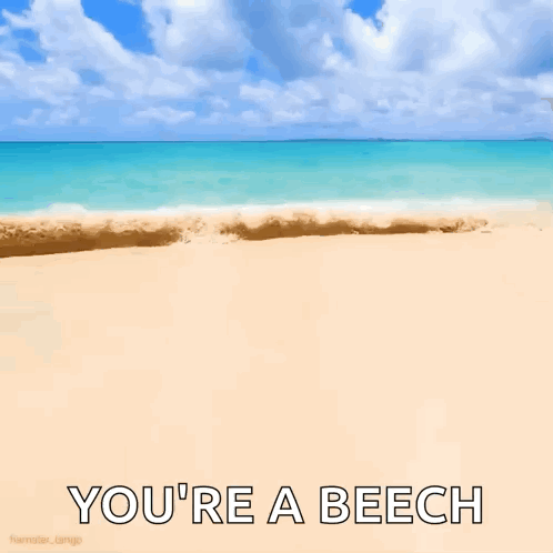 Waves Beach GIF