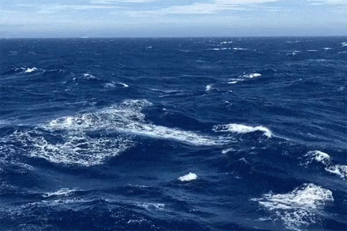 Waves Ocean GIF