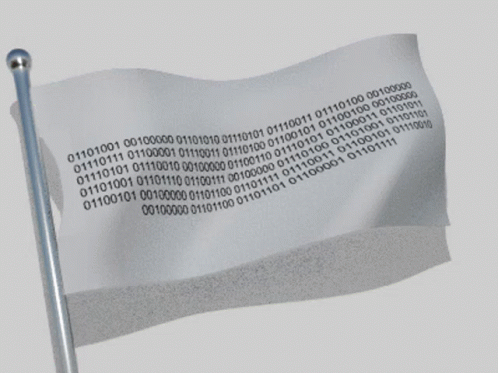 Waving Flag Binary Code GIF