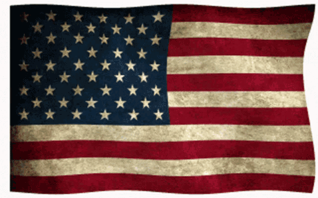 Waving Flag GIF