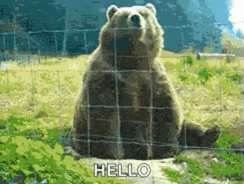 Wavingbear Hi GIF. This 498 x 375 animated GIF is part of our bear waving collection. Related themes include hello. Created by DrSally99. View the original…