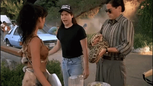 Waynes World Waynes World2 GIF