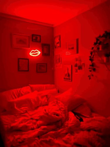 Wcred Redroom GIF