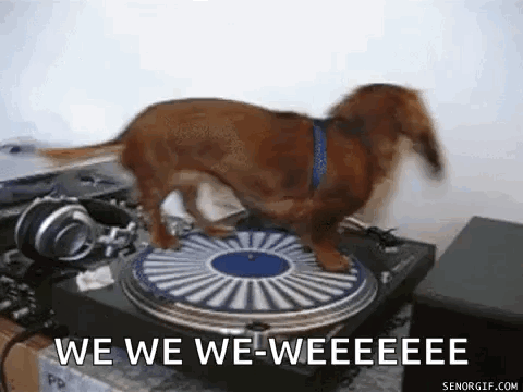 We Are Not The Same Touche GIF