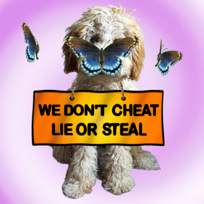 We Don'T Cheat Lie Or Steal Puppy GIF