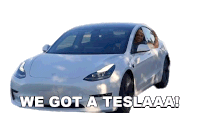We Got A Teslaaa Wil Dasovich Sticker