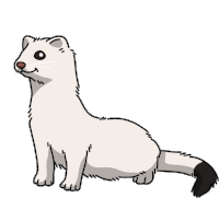 Weasel Ermine Sticker