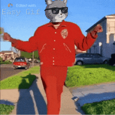 Web Cat Society Nft GIF