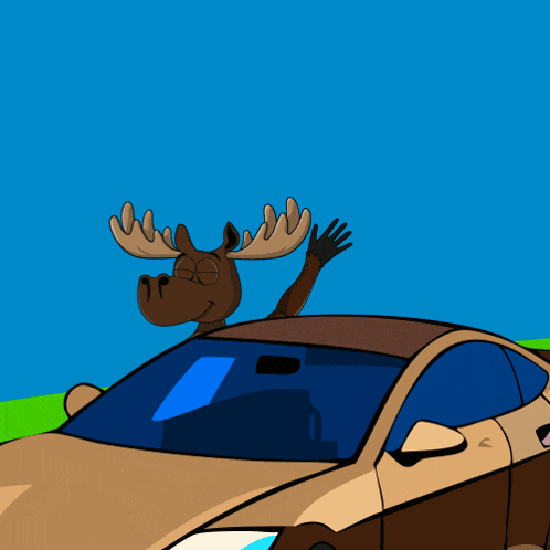 Web3 Moose GIF