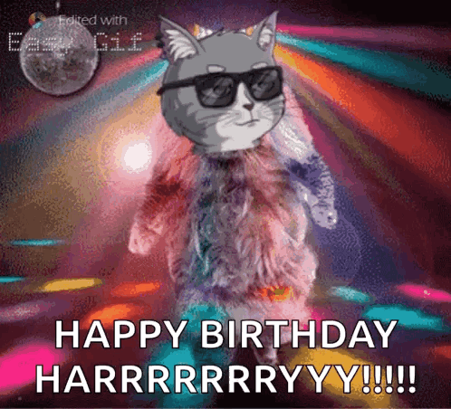 Webcatsociety Web Cat Society GIF. This 498 x 452 animated GIF is part of our happy birthday dancing collection. Related themes include cat, dance, disco…
