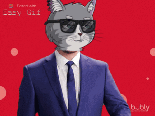 Webcatsociety Web Cat Society GIF