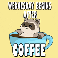 Wednesday Blessings Good Morning Happy Wednesday GIF