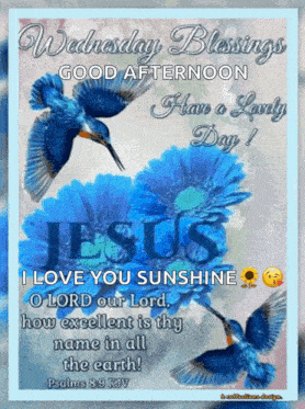 Wednesday Blessings GIF