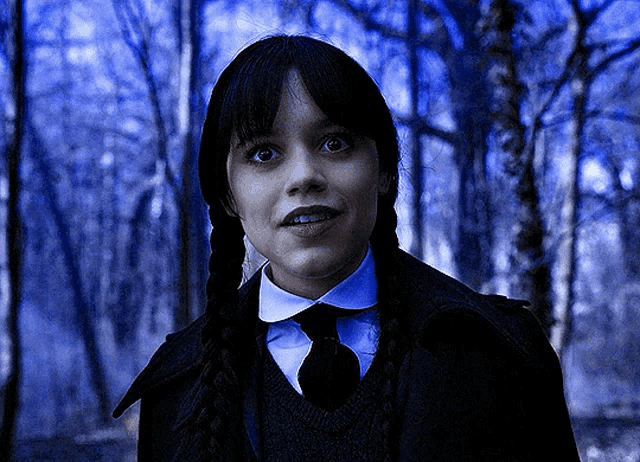 Wednesday GIF