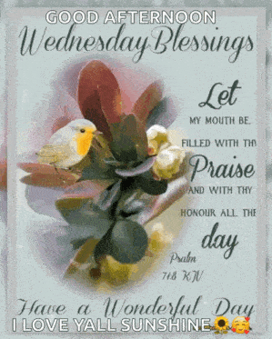 Wednesday Good GIF