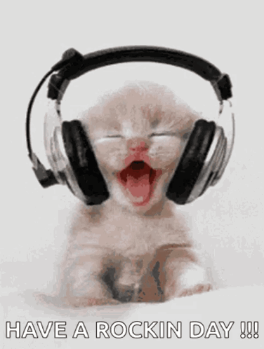 Wednesday Good Morning Wednesday GIF. This 376 x 498 animated GIF is part of our guten morgen am mittwoch collection. Related themes include good morning…