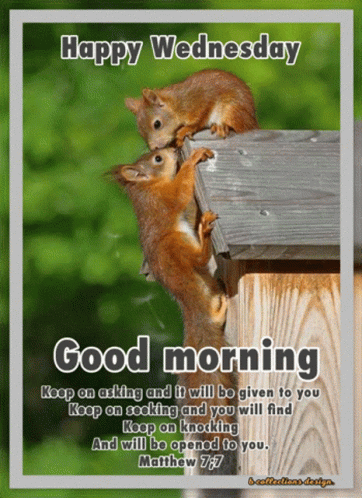 Wednesday Good GIF. This 362 x 498 animated GIF is part of our guten morgen mittwoch collection. Related themes include good, happy, morning. Created by…