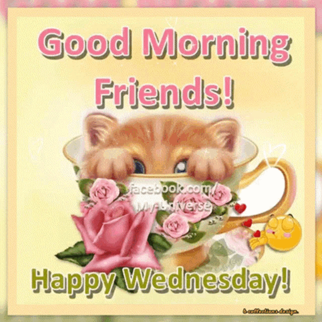 Wednesday Happy GIF