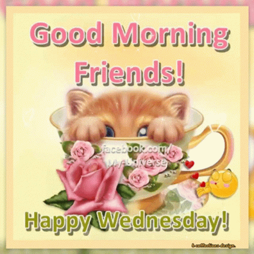 Wednesday Happy GIF. This 498 x 498 animated GIF is part of our guten morgen mittwoch collection. Related themes include good, happy, morning. Created by…