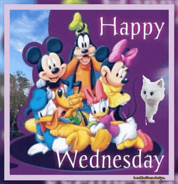 Wednesday Happy GIF